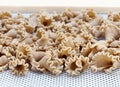 Mushroom campanelle shaped pasta on a drying rack Royalty Free Stock Photo