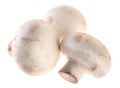 Mushroom champignon Royalty Free Stock Photo