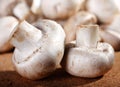 Mushroom champignon Royalty Free Stock Photo