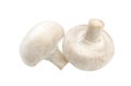 Mushroom champignon isolated on white background, with clipping path Royalty Free Stock Photo