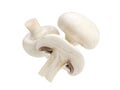 Mushroom champignon isolated on white background, with clipping path Royalty Free Stock Photo