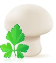 Mushroom champignon vector illustration