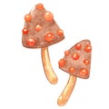 Mushroom chocolate biscuits watercolor for decoration on snack.