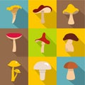 Mushroom collection icon set, flat style