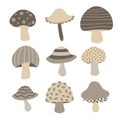 Mushroom collection vector design