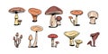 Mushroom colorful doodle set. various Mushrooms hand drawn flat sketch. Champignon, chanterelle and shiitake. Royalty Free Stock Photo