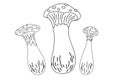 Fly agaric mushrooms outline. Vector contour doodle illustration