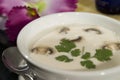 Mushroom cream soup 2 Royalty Free Stock Photo