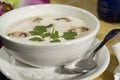 Mushroom cream soup Royalty Free Stock Photo