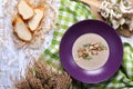 Mushroom cream soup with dill