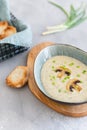 Mushroom cream soup with cream, toasts and shallot in a bowl on gray background. Delicious healthy food, dieting, keto diet Royalty Free Stock Photo