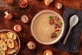 Mushroom cream soup with various mushrooms and toasted bread Royalty Free Stock Photo