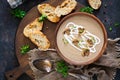 Mushroom cream soup. Vegan food. Dietary menu. Top view Royalty Free Stock Photo
