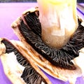 Mushroom cut close-up. sliced mushroom champignon Royalty Free Stock Photo