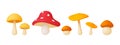 Mushroom 3d render collection. Mushrooms isolated clipart, autumn forest elements. Fly agaric, toadstools and edible Royalty Free Stock Photo