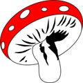 Mushroom death cap Vector