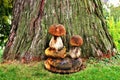 Mushroom decoration outside, wooden mushrooms