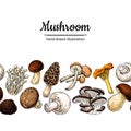 Mushroom drawing vector seamlees border. Isolated food frame sketch.