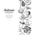 Mushroom drawing vector seamlees border. Isolated food frame s