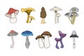 Mushroom. Eps