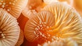 Mushroom extreme closeup background.