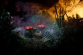 Mushroom. Fantasy Glowing Mushrooms in mystery dark forest close-up. Amanita muscaria, Fly Agaric in moss in forest. Magic mushroo