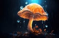 Mushroom. Fantasy Glowing Mushrooms in mystery dark forest close-up. Beautiful macro shot of magic mushroom, fungus Royalty Free Stock Photo