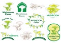 Mushroom Farm Icon, Logo and Vector Badge