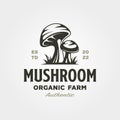 Mushroom farm logo vintage vector illustration design, champignon mushroom logo design Royalty Free Stock Photo