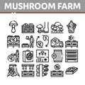 Mushroom Farm Plant Collection Icons Set Vector