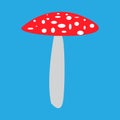 Mushroom fly agaric vector illustration