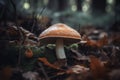 Mushroom forest autumn closeup. Generate Ai