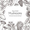 Mushroom frame. Vegetarian food, sketch autumn forest plants. Retro healthy raw, cooking ingredients champignon truffle