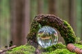 Mushroom framed by a wood on mossy green meadow, the view through a lensball in a forest. Royalty Free Stock Photo