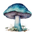 Mushroom Fungi Toadstools Nature Botanical Illustration Clipart