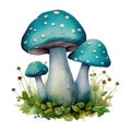 Mushroom Fungi Toadstools Nature Botanical Illustration Clipart