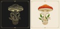 Mushroom or fungus Russula aurea with engraving, hand drawn, luxury, celestial, esoteric, boho style, fit for spiritualist,