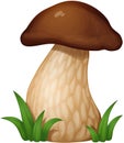 Mushroom in the grass