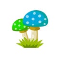 Mushroom with a green cap. Natural natural product Royalty Free Stock Photo