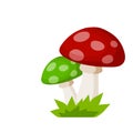 Mushroom with a green cap. Natural natural product. Poisonous toxic plant Royalty Free Stock Photo
