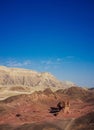 Holy Land Series - Timna Valley 4