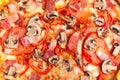 Mushroom and ham pizza Royalty Free Stock Photo