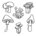 Mushroom hand drawn set vector illustration. Mushrooms collection in doodle style. Fresh organic food isolated on white. Royalty Free Stock Photo