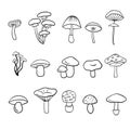 Mushroom hand drawn vector illustration. Isolated Sketch food drawing. Organic vegetarian product Royalty Free Stock Photo