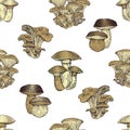 Mushroom hand drawn vector seamlees pattern. Vintage background.