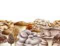 Mushroom hand painted seamless border. Watercolor illustration. Hand drawn various fungi decor. Edible mushroom seamless