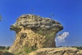 Mushroom hill in greik east java indonesia Royalty Free Stock Photo