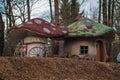 Mushroom houses in a forest