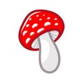 Mushroom icon. Amanita Muscaria fly agaric sign Magic mushroom symbol Vector illustration isolated on white background Royalty Free Stock Photo