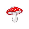 Mushroom icon. Amanita Muscaria fly agaric sign. Magic mushroom symbol Vector illustration isolated on white background Royalty Free Stock Photo